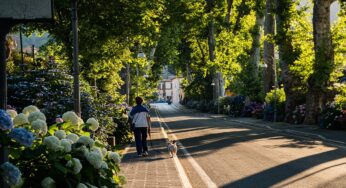 Áreas verdes, mesmo pequenas, ajudam a melhorar qualidade do ar em centros urbanos