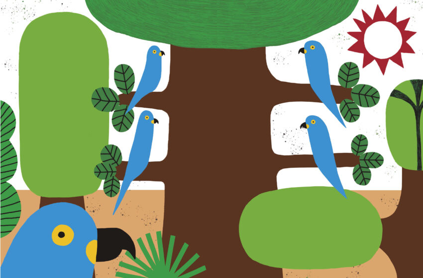  Livro infantil alerta para o risco de extinção de animais brasileiros